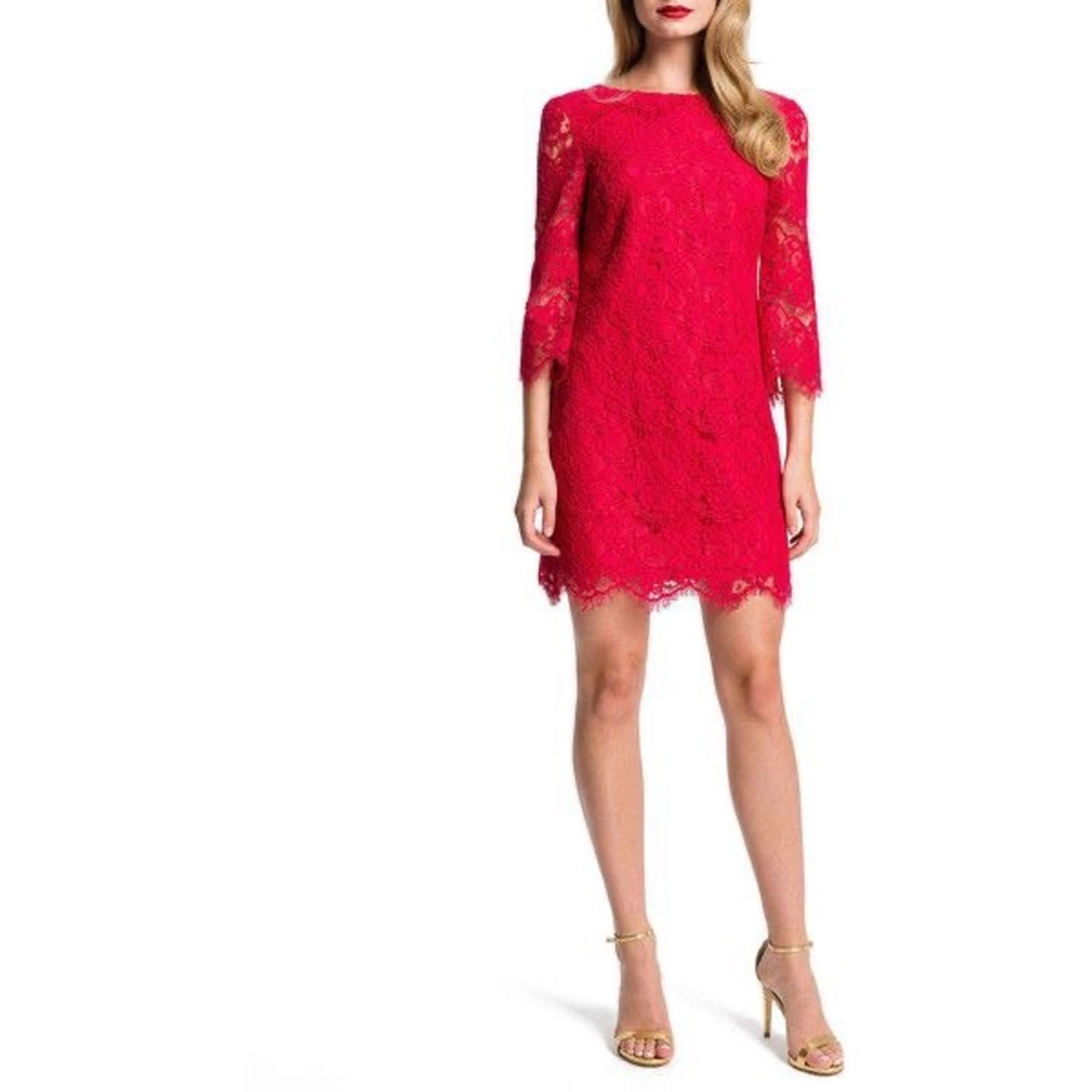 Cynthia Steffe Trinity Lace Shift dress